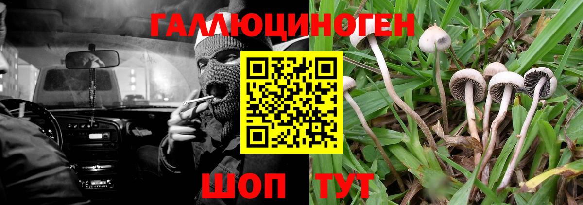 купить наркотики сайты  Псилоцибиновые грибы ЛСД  Вход с VPN  Россия  Галлюциногенные грибы мухоморы 