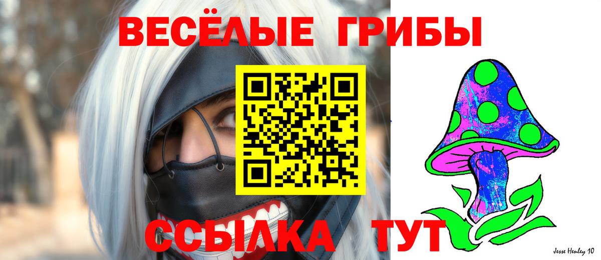Псилоцибиновые грибы GOLDEN TEACHER Россия